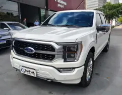 FORD F-150 5.0 V8 GASOLINA CD PLATINUM FX4 AUTOMÁTICO FORD F-150 5.0 V8 GASOLINA CD PLATINUM FX4 AUTOMÁTICO