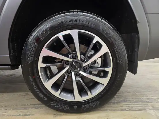 GWM-HAVAL H9-2025
