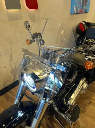 HARLEY-DAVIDSON-SOFTAIL FAT BOY 114-2020