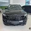 JEEP COMPASS 2.0 HURRICANE 4 TURBO GASOLINA BLACKHAWK AT9 JEEP COMPASS 2.0 HURRICANE 4 TURBO GASOLINA BLACKHAWK AT9