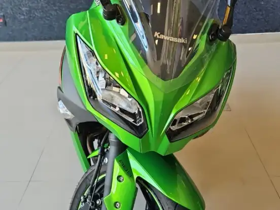 KAWASAKI-NINJA 300 KAWASAKI-NINJA 300-2024