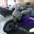 SHINERAY PHOENIX S 50 SHINERAY PHOENIX S 50
