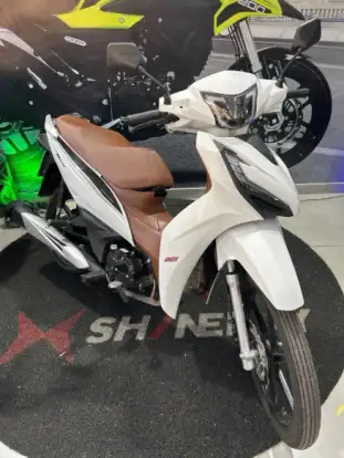 SHINERAY-RIO 125-2026