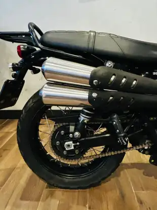 TRIUMPH-SCRAMBLER 900-2024