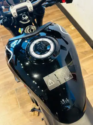 TRIUMPH-TRIDENT 660-2024