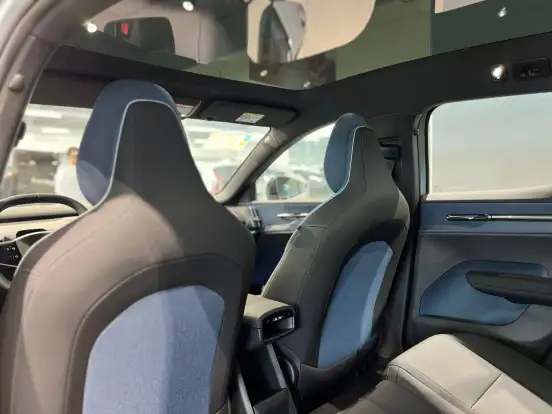 VOLVO-EX30-69 KW ELÉTRICO CROSS COUNTRY VOLVO-EX30-2026