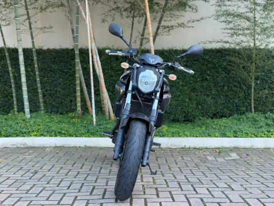 YAMAHA-MT-03 YAMAHA-MT-03-2008