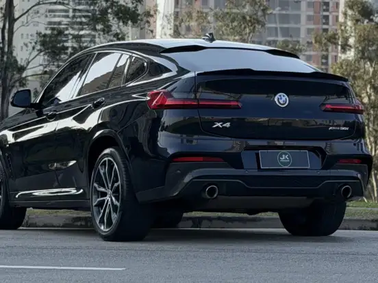 BMW-X4-2.0 16V GASOLINA XDRIVE30I M SPORT STEPTRONIC BMW-X4-2019