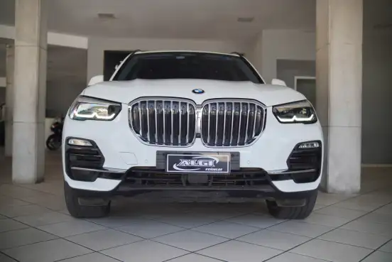 BMW-X5-3.0 4X4 30D I6 TURBO DIESEL 4P AUTOMÁTICO BMW-X5-2020