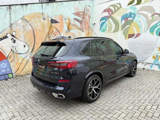 BMW-X5-3.0 4X4 30D I6 TURBO DIESEL 4P AUTOMÁTICO BMW-X5-2019