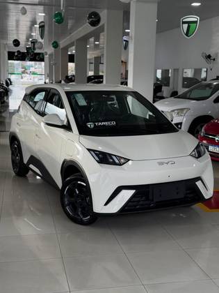 BYD DOLPHIN MINI 38 KW ELÉTRICO GS