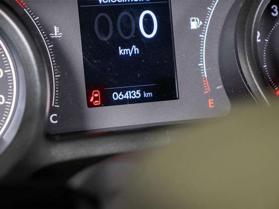 FIAT-PULSE-2021