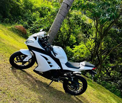 KAWASAKI-NINJA 300-2013