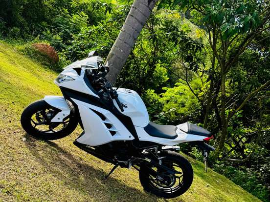 KAWASAKI-NINJA 300 KAWASAKI-NINJA 300-2013