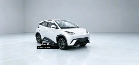 BYD DOLPHIN MINI 38 KW ELÉTRICO GS