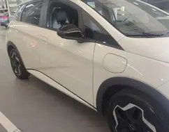 BYD DOLPHIN 44,9 KW ELÉTRICO BYD DOLPHIN 44,9 KW ELÉTRICO