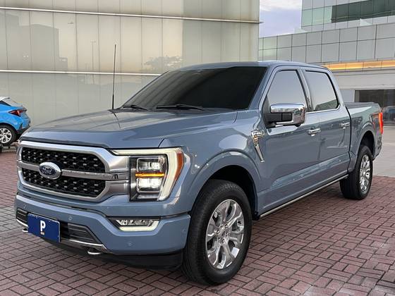 FORD F-150 5.0 V8 GASOLINA CD PLATINUM FX4 AUTOMÁTICO