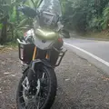 TRIUMPH TIGER 900 RALLY PRO TRIUMPH TIGER 900 RALLY PRO