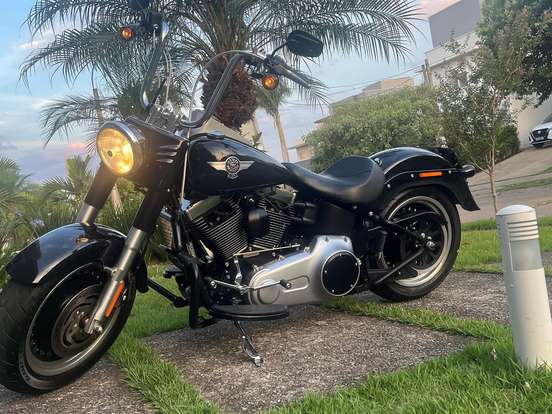HARLEY-DAVIDSON-SOFTAIL FAT BOY SPECIAL HARLEY-DAVIDSON-SOFTAIL FAT BOY SPECIAL-2013