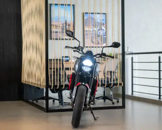 TRIUMPH-TRIDENT 660-2024