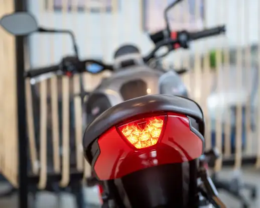 TRIUMPH-TRIDENT 660-2024
