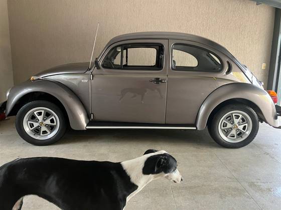 VOLKSWAGEN FUSCA 1.6 8V GASOLINA 2P MANUAL