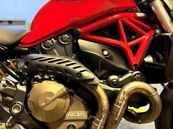 DUCATI-MONSTER 821 DUCATI-MONSTER 821-2015