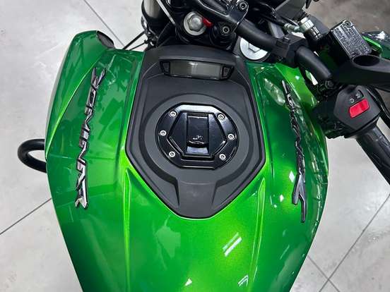 BAJAJ-DOMINAR 400 BAJAJ-DOMINAR 400-2025