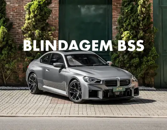 BMW-M2-3.0 I6 TWINTURBO GASOLINA COUPÉ M STEPTRONIC BMW-M2-2025