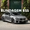 BMW M2 3.0 I6 TWINTURBO GASOLINA COUPÉ M STEPTRONIC BMW M2 3.0 I6 TWINTURBO GASOLINA COUPÉ M STEPTRONIC