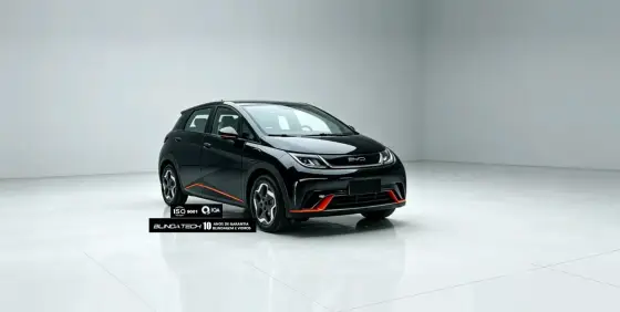 BYD DOLPHIN 44,9 KW ELÉTRICO GS