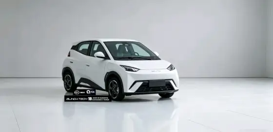 BYD DOLPHIN MINI 38 KW ELÉTRICO GL
