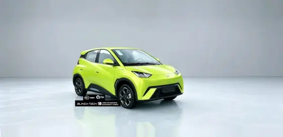BYD DOLPHIN MINI 38 KW ELÉTRICO GS