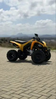 CAN-AM DS 250 