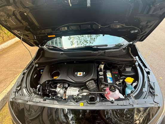FIAT-PULSE-2025