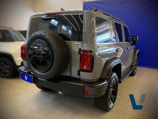 GWM-TANK 300-2025