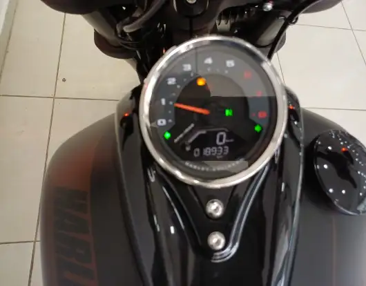 HARLEY-DAVIDSON-SOFTAIL FAT BOB 114-2019
