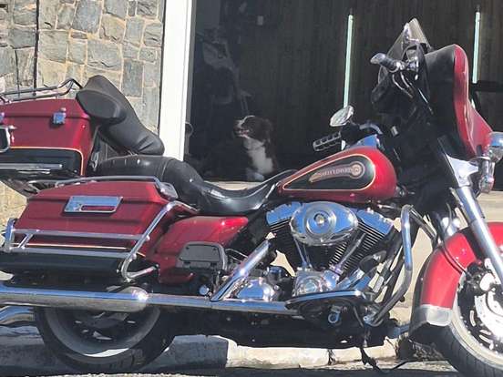 HARLEY-DAVIDSON-ELECTRA GLIDE CLASSIC HARLEY-DAVIDSON-ELECTRA GLIDE CLASSIC-2007
