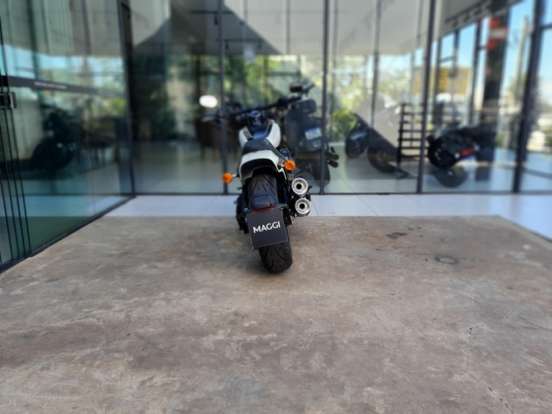HARLEY-DAVIDSON-SOFTAIL FAT BOB 107 HARLEY-DAVIDSON-SOFTAIL FAT BOB 107-2019