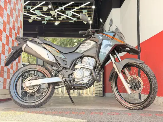 HONDA-XRE 300 ABS HONDA-XRE 300 ABS-2021