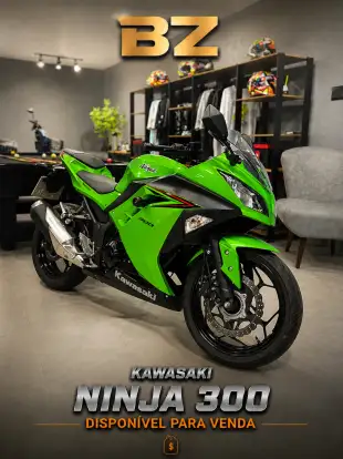 KAWASAKI-NINJA 300-2023
