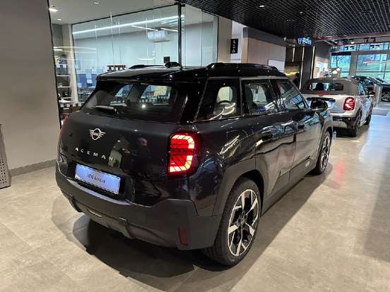 MINI-ACEMAN-2025