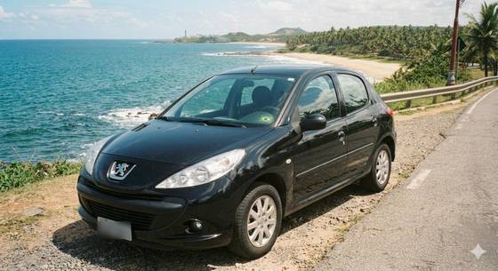 PEUGEOT 207 1.4 XR 8V FLEX 4P MANUAL