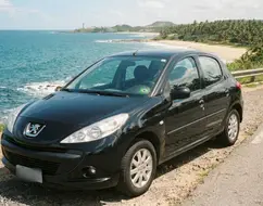 PEUGEOT 207 1.4 XR 8V FLEX 4P MANUAL PEUGEOT 207 1.4 XR 8V FLEX 4P MANUAL