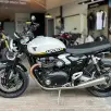 TRIUMPH SPEED TWIN TRIUMPH SPEED TWIN
