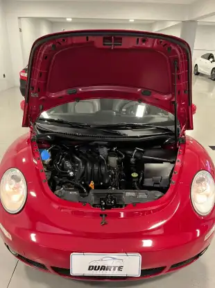 VOLKSWAGEN-NEW BEETLE-2010