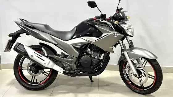 YAMAHA YS 250 FAZER BLUEFLEX 