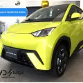 BYD DOLPHIN MINI 38 KW ELÉTRICO GL BYD DOLPHIN MINI 38 KW ELÉTRICO GL