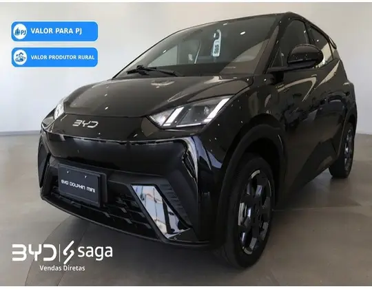 BYD DOLPHIN MINI 38 KW ELÉTRICO GL