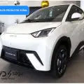 BYD DOLPHIN MINI 38 KW ELÉTRICO GL BYD DOLPHIN MINI 38 KW ELÉTRICO GL